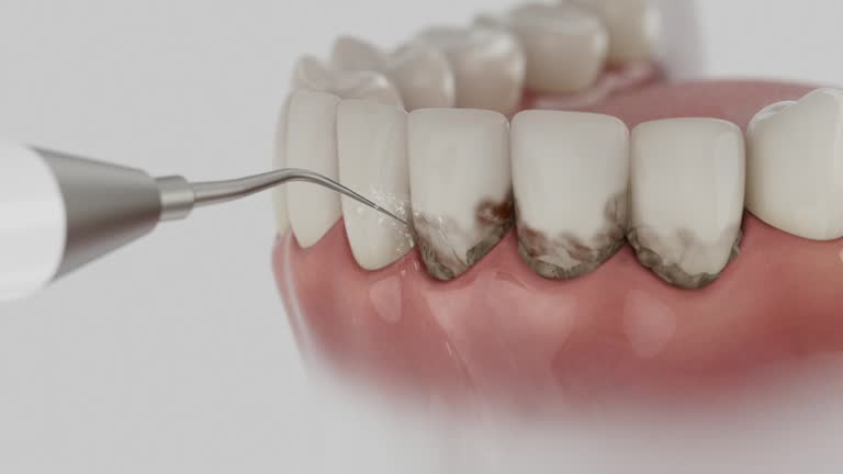 Reliable Dental contractor in Bryan, TX by Dentist Open Now